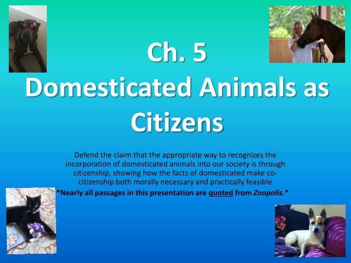 ch 5 domesticated animals as citizens