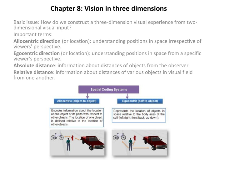 chapter 8 vision in three dimensions
