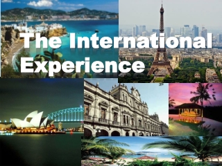 The International Experience
