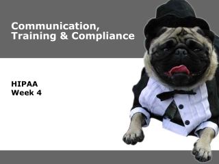 Communication, Training &amp; Compliance