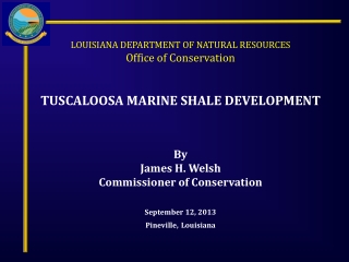 LOUISIANA DEPARTMENT OF NATURAL RESOURCES Office of Conservation