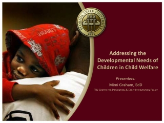 Addressing the Developmental Needs of Children in Child Welfare