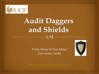 Audit Daggers and Shields