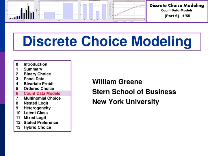 william greene stern school of business new york university