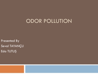 Odor pollution