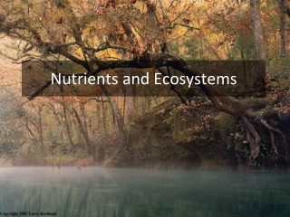Nutrients and Ecosystems
