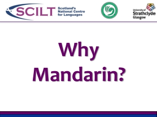 Why Mandarin?