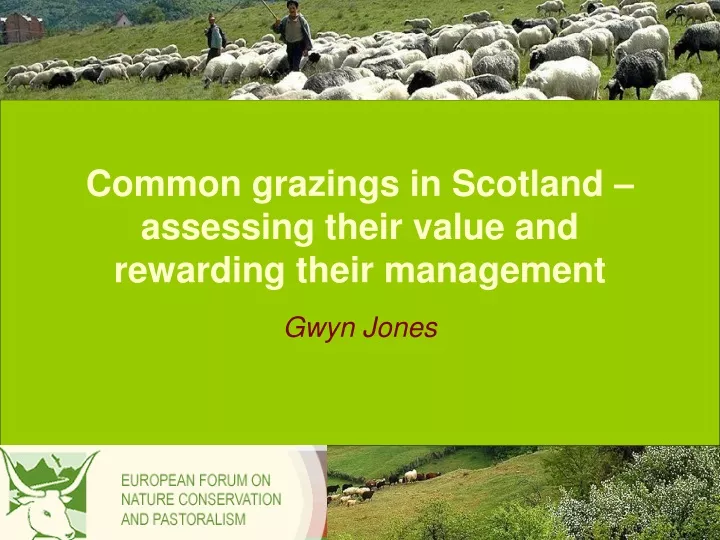common grazings in scotland assessing their value and rewarding their management