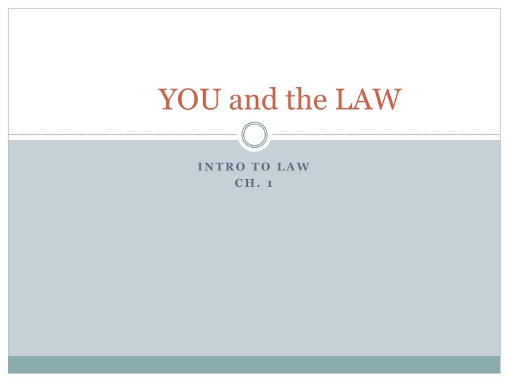 you and the law