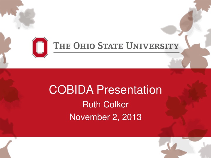 cobida presentation ruth colker november 2 2013