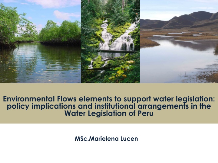 environmental flows elements to support water