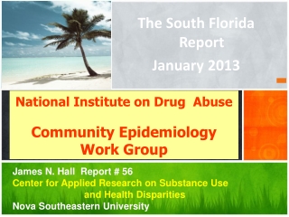 National Institute on Drug Abuse Community Epidemiology Work Group