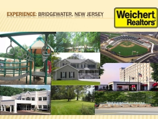 Experience : Bridgewater, New Jersey