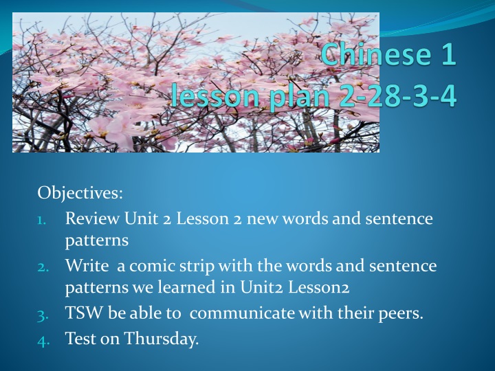 chinese 1 lesson plan 2 28 3 4