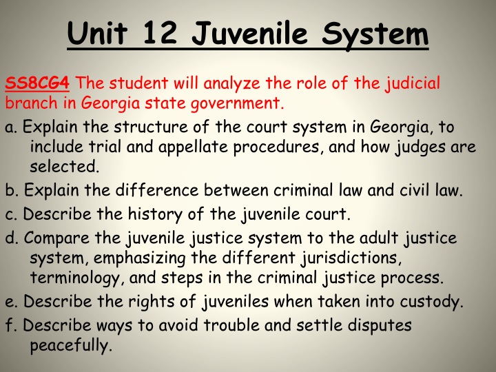 unit 12 juvenile system