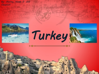 turkey