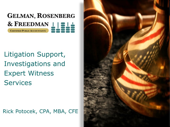 litigation support investigations and expert
