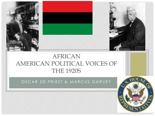 African American Political Voices of the 1920s