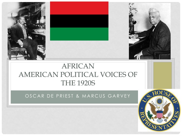 african american political voices of the 1920s