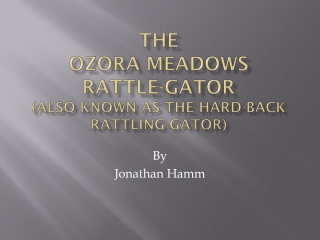 The OzorA meadows Rattle-gator (also known as the hard-back rattling-Gator)