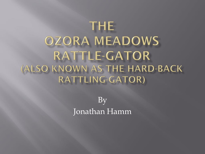 the ozora meadows rattle gator also known as the hard back rattling gator