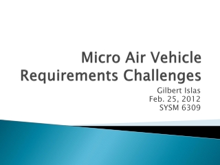 Micro Air Vehicle Requirements Challenges