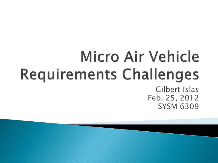 micro air vehicle requirements challenges