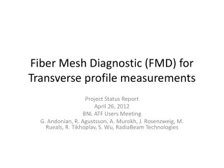 Fiber Mesh Diagnostic (FMD) for Transverse profile measurements