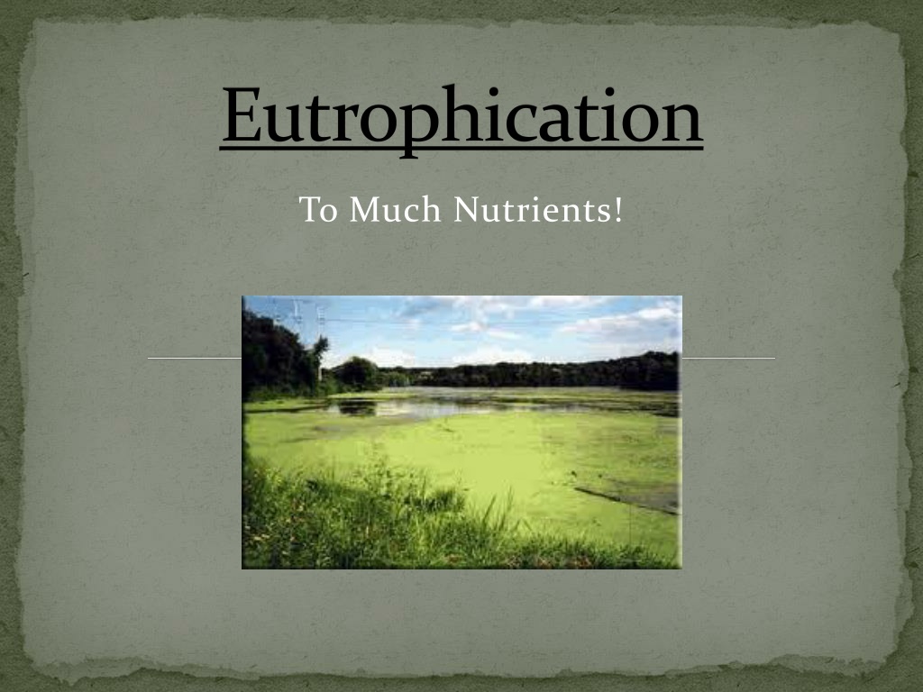 PPT - Eutrophication PowerPoint Presentation, free download - ID:1526713