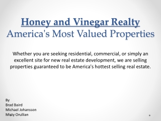 Honey and Vinegar Realty America's Most Valued Properties