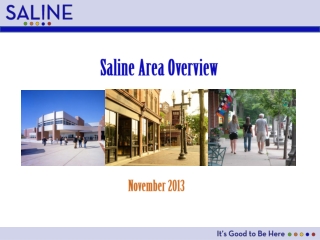 Saline Area Overview