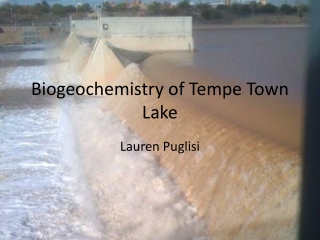 Biogeochemistry of Tempe Town Lake