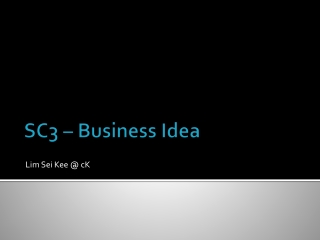 SC3 – Business Idea