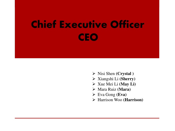 chief executive officer ceo