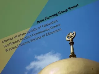 Joint Planning Group Report
