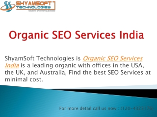 Low Cost Organic SEO Services in India