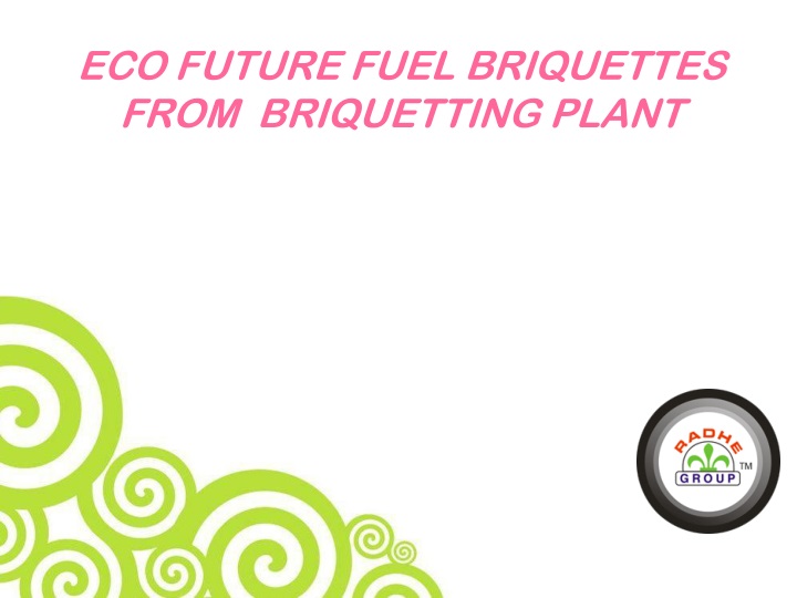 eco future fuel briquettes from briquetting plant