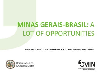 MINAS GERAIS-BRASIL: a lot of opportunities