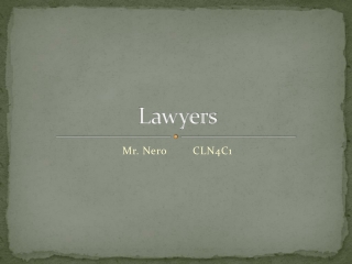 Lawyers