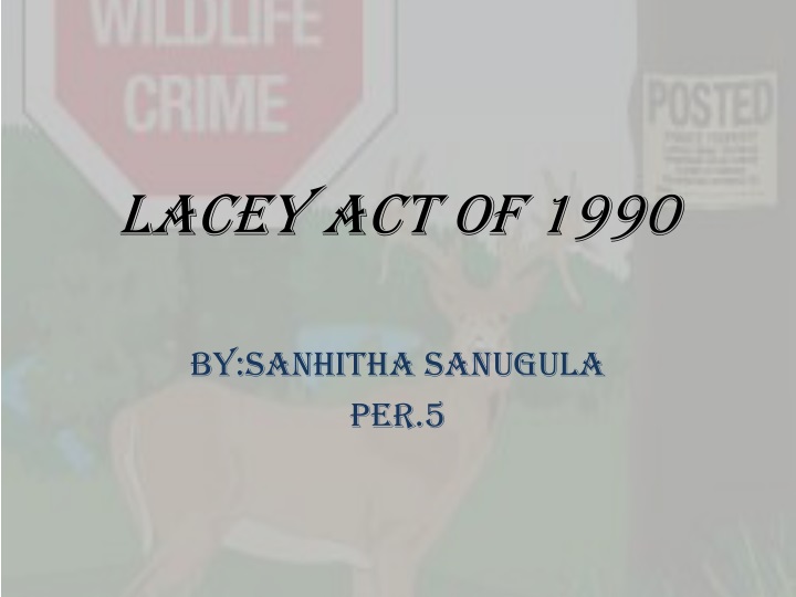 lacey act of 1990