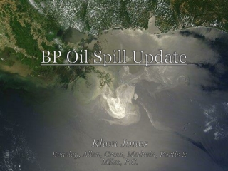 BP Oil Spill Update