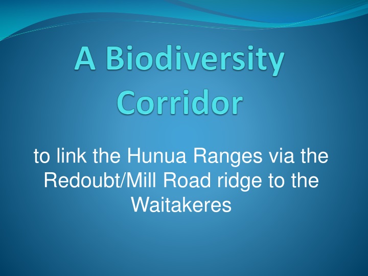 a biodiversity corridor