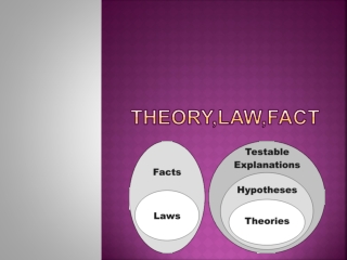 theory law fact