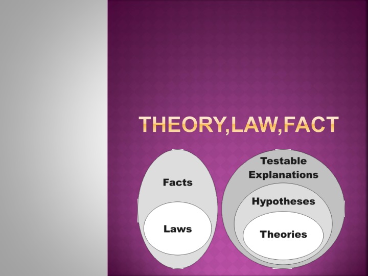 theory law fact