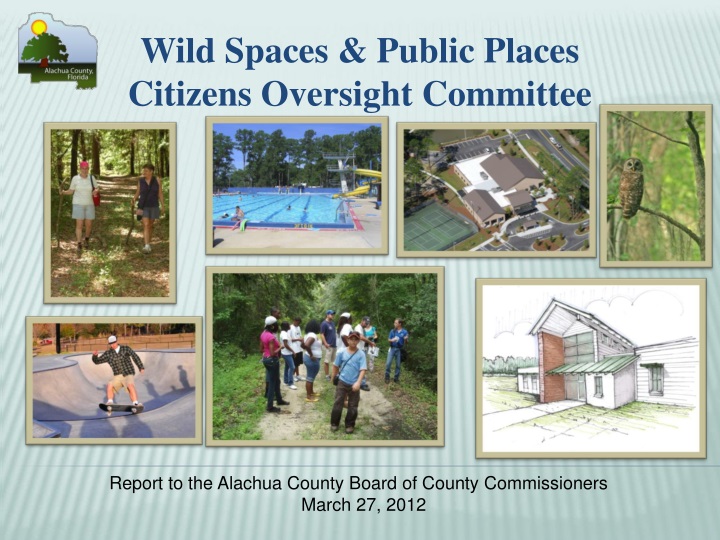 wild spaces public places citizens oversight