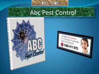 Bed Bugs Pest Control In Sydney