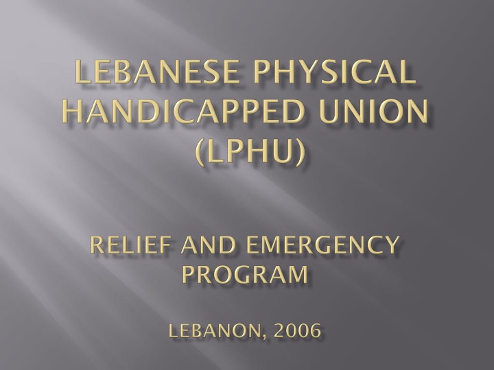 lebanese physical handicapped union lphu relief and emergency program lebanon 2006