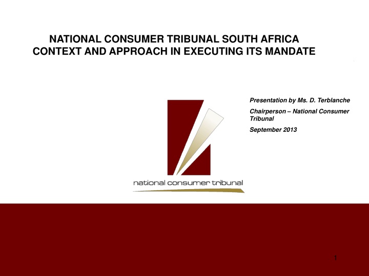 national consumer tribunal south africa context
