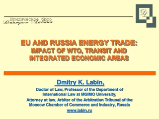 EU AND RUSSIA ENERGY TRADE: IMPACT OF WTO, TRANSIT AND INTEGRATED ECONOMIC AREAS