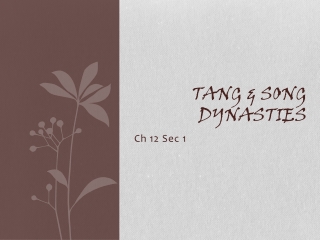 Tang &amp; Song Dynasties